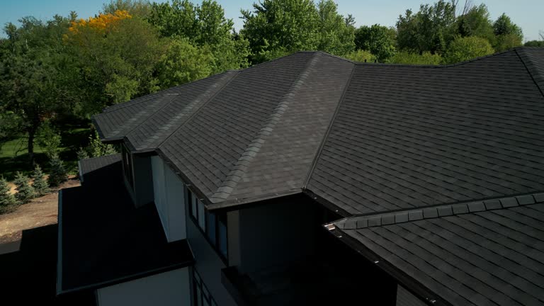 Best Skylight Installation and Repair  in Centrevle, IL