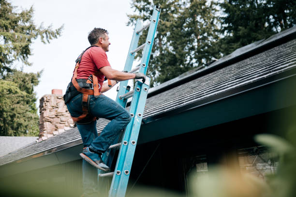 Best Solar Panel Roofing Installation  in Centrevle, IL